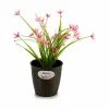 Kabantis šviestuvas Stefanplast Plastmasinis 14 x 13 x 14 cm (12 vnt.)