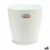 Kasvit Stefanplast Valkoinen Muovinen 29 x 26,5 x 29 cm 29 x 27 x 29 cm (6 osaa)