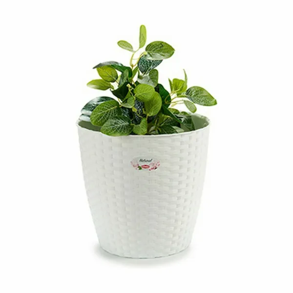 Kasvit Stefanplast Valkoinen Muovinen 29 x 26,5 x 29 cm 29 x 27 x 29 cm (6 osaa)