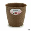 Kasvit Stefanplast Ruskea Muovinen 14 x 13 x 14 cm (12 osaa)