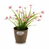 Kabantis šviestuvas Stefanplast Ruda Plastmasinis 14 x 13 x 14 cm (12 vnt.)