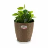 Подставка под цветочный горшок Stefanplast Коричневый Пластик 24 x 22,5 x 24 cm (6 штук)