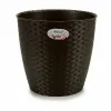 Kasvit Stefanplast Muovinen 29 x 26,5 x 29 cm (6 osaa)