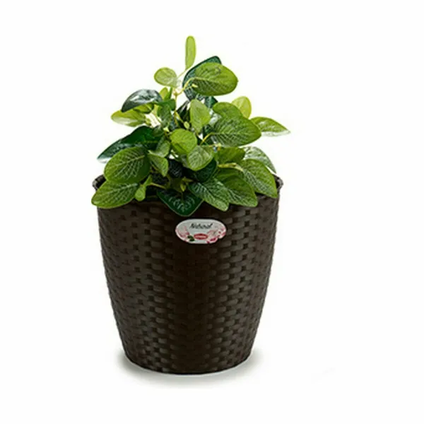 Kasvit Stefanplast Muovinen 29 x 26,5 x 29 cm (6 osaa)