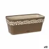Kukkalaatikko Stefanplast Cloe Ruskea Muovinen 13,3 x 12,3 x 29,3 cm (12 osaa)