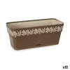 Kukkalaatikko Stefanplast Gaia Ruskea Muovinen 13,3 x 12,3 x 29,3 cm (12 osaa)