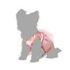 Dog Costume Size M Ballet Dancer