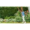 Eņģes griezējs BOSCH EasyGrassCut 18V-26 2,5 Ah