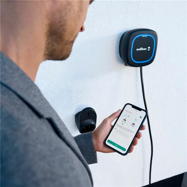 Maitinimo kištukas Wallbox