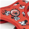 Koera rakmed Minnie Mouse M/L