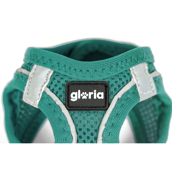 Koiran valjaat Gloria Trek Star 29,4-32,6 cm 41,4-43 cm Turkoosi S
