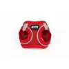 Suņu drošības siksna Gloria Trek Star 24-26 cm 28-28,6 cm Sarkans XXS
