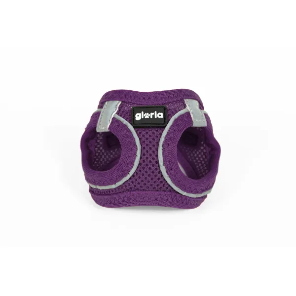 Suņu drošības siksna Gloria Trek Star 24-26 cm 28-28,6 cm Violets XXS