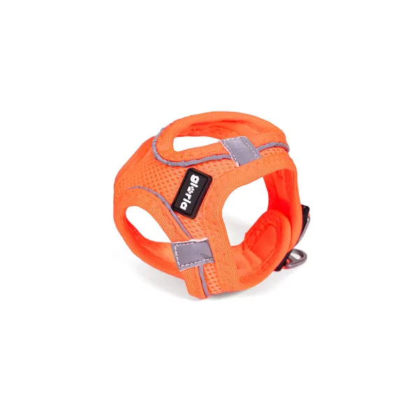 Koiran valjaat Gloria Trek Star 29,4-32,6 cm 41,4-43 cm Oranssi S