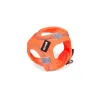 Dog Harness Gloria Trek Star Orange M 32,8-35,4 cm 45-47 cm