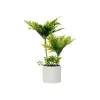 Dekoratiivne Taim Ibergarden Plastmass Tsement Palmipuu 12 x 45 x 12 cm 22 x 40 x 22 cm 16 x 42,5 x 14 cm (6 Ühikut)