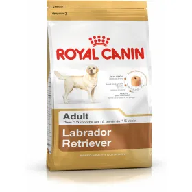 Lopbarība Royal Canin Labrador Retriever Adult Pieaugušais Cālis Rīsi Putni 12 kg