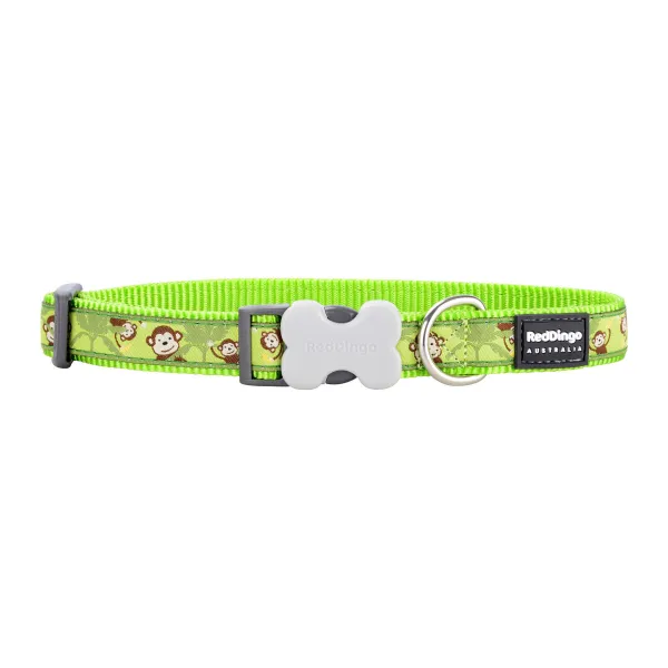 Koera kaelarihm Red Dingo Monkey 20-32 cm Roheline