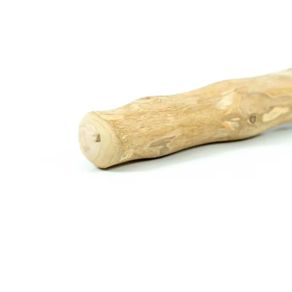 Košļājamā rotaļlieta suņiem Gloria Stick XS Košļājams (1 gb.)
