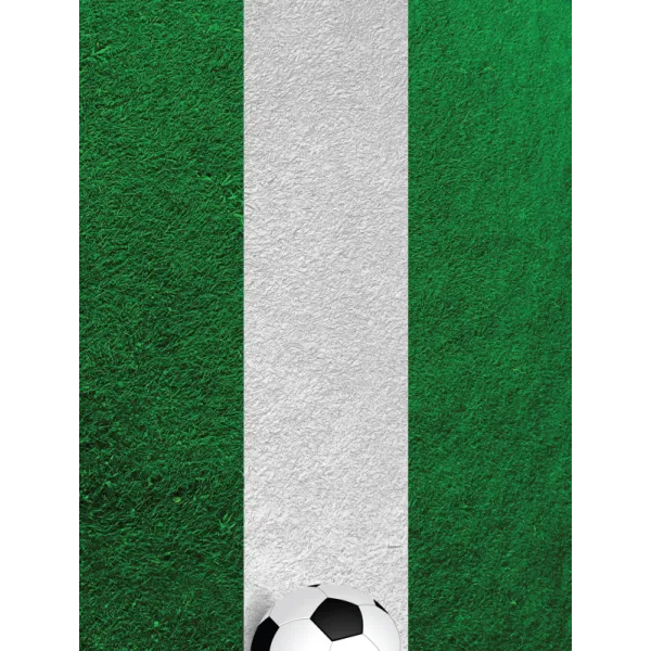 Nexgen Skins with 3D effect for iPad 2/3/4 (Soccer Field 3D)