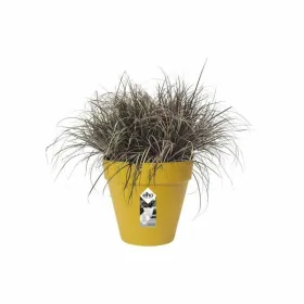Банка Elho Loft Urban 25 Жёлтый Ø 24,5 x 22,2 cm