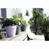 Stiklainis Elho Urban Pilka Apskritas Ø 20 cm