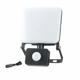 Užtvindanti šviesa / projektoriaus šviesa EDM 70422 Frameless Juoda F 50 W 4100 Lm (6000 K)