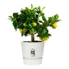 Stiklainis Elho 0464344715000 Balta Apskritas
