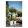 Stiklainis Elho 0464344715000 Balta Apskritas