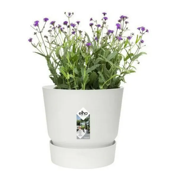 Stiklainis Elho 0464344715000 Balta Apskritas
