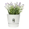 Stiklainis Elho 0464344715000 Balta Apskritas