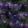 Valonauha Fuksia 3,6 W LED