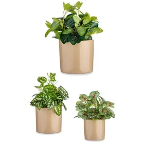 Puodų rinkinys Ibergarden Rusvai gelsva Molis Cilindras Ø 14 cm Ø 22 cm Ø 17 cm 22 x 19 x 22 cm 3 Dalys