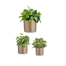 Puodų rinkinys Ibergarden Rusva Molis Cilindras Ø 14 cm Ø 22 cm Ø 17 cm 22 x 19 x 22 cm 3 Dalys