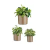 Puodų rinkinys Ibergarden Rusva Molis Cilindras Ø 14 cm Ø 22 cm Ø 17 cm 22 x 19 x 22 cm 3 Dalys