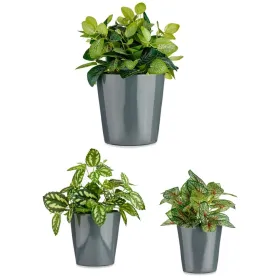 Puodų rinkinys Ibergarden Antracito Molis Cónica Ø 14 cm Ø 22 cm Ø 17 cm 22,5 x 21 x 22,5 cm 3 Dalys