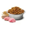 Lopbarība Farmina N&D Ancestral Grain Canine Pieaugušais Cālis 15 kg