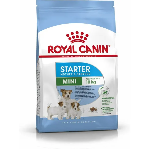 Pašarai Royal Canin Starter Mother And Babydog Suaugęs Višta Paukščiai 1 kg