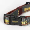 Koiran kaulapanta Harry Potter M/L