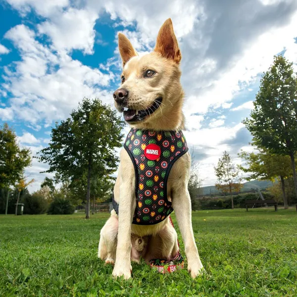 Dog Harness Marvel Reversible