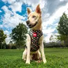 Dog Harness Marvel Reversible