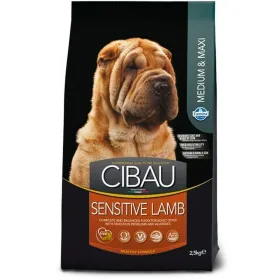 Lopbarība Farmina SENSITIVE LAMB MEDIUM & MAXI Pieaugušais Jēra gaļa 14 Kg