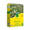 Seeds BHS Trèfle Blanc 500 g