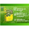 Seeds BHS Trèfle Blanc 500 g
