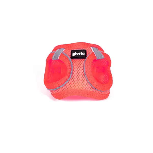 Koiran valjaat Gloria 32,8-35,4 cm 45-47 cm Pinkki M