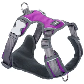 Suņu drošības siksna Red Dingo Dingo Violets L 47-73 cm 56-80 cm
