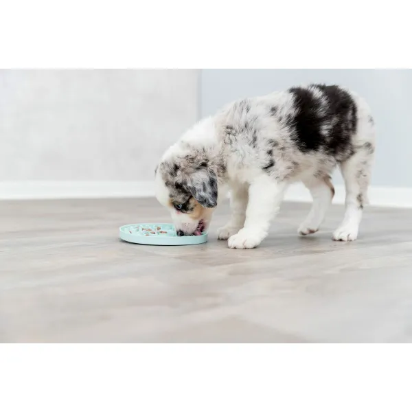 Mājdzīvnieku barības trauciņš Trixie Junior Licking Ø 15 cm Zaļš Piparmētra
