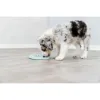 Mājdzīvnieku barības trauciņš Trixie Junior Licking Ø 15 cm Zaļš Piparmētra