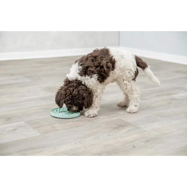 Кормушка для животных Trixie Junior Licking Ø 15 cm Зеленый Мята