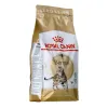 Kačių maistas Royal Canin Bengal Adult Suaugęs Daržovė Paukščiai 2 Kg
